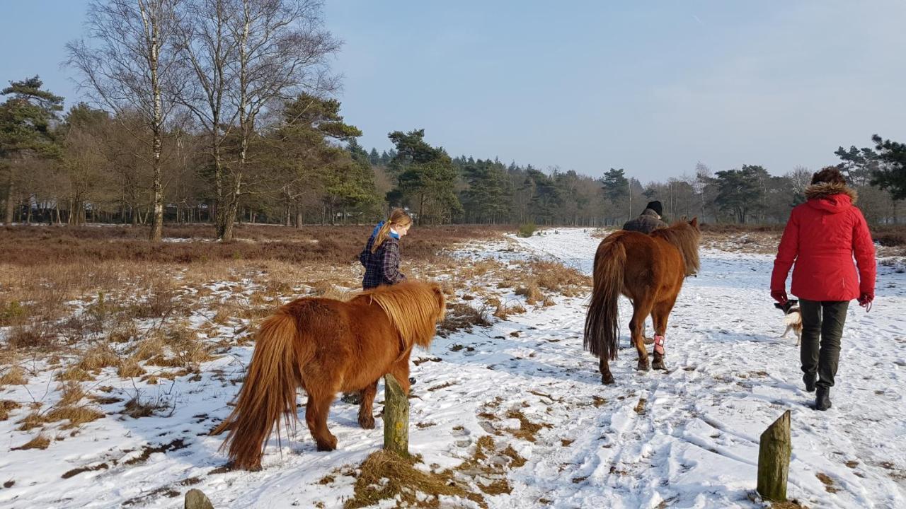 Chalet Op De Veluwe # Linde Putten Esterno foto
