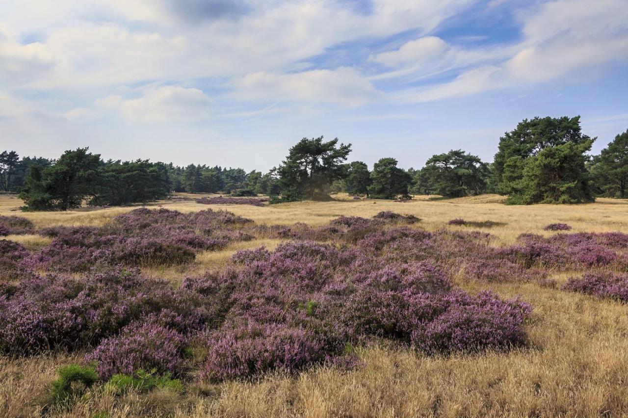 Chalet Op De Veluwe # Linde Putten Esterno foto